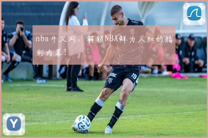 nba牛叉网,解锁NBA鲜为人知的精彩内幕!