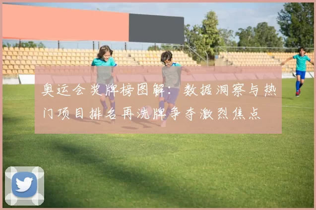 奥运会奖牌榜图解:数据洞察与热门项目排名再洗牌争夺激烈焦点