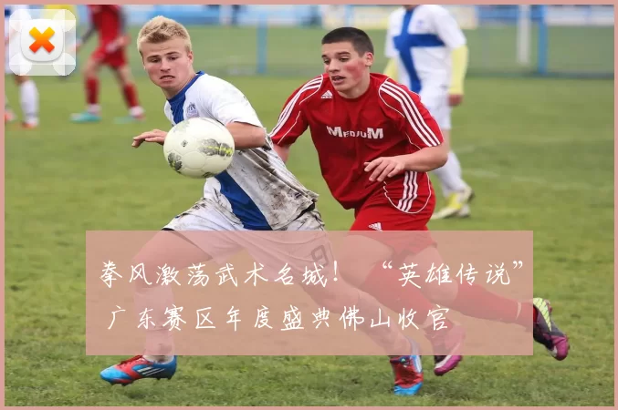 拳风激荡武术名城！ “英雄传说” 广东赛区年度盛典佛山收官