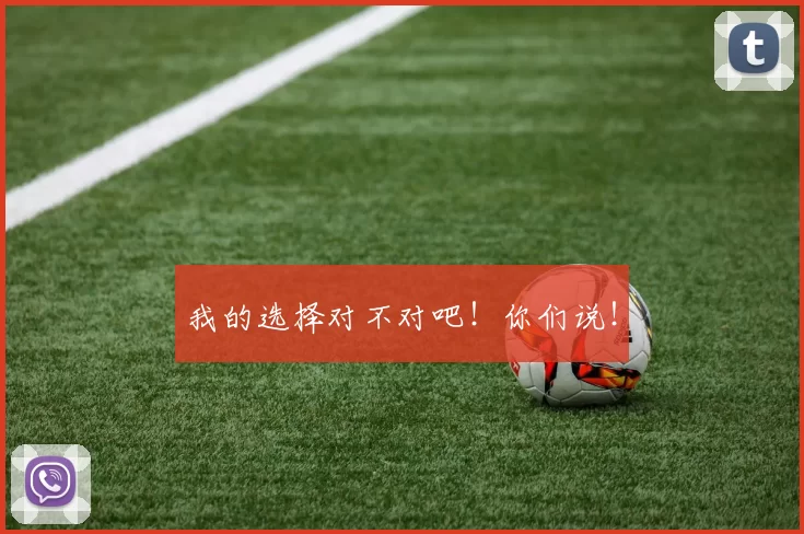 我的选择对不对吧!你们说!